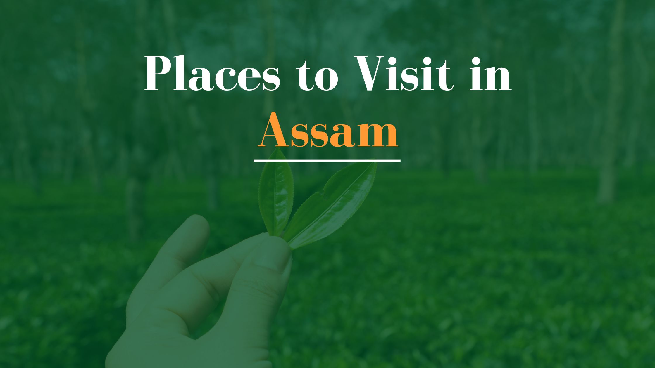 Places to Visit in Assam